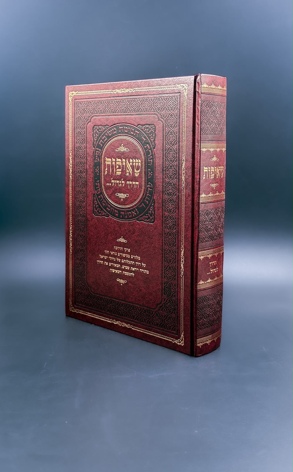 שאיפות - הדרך לגדול / הרב יצחק הרשקוביץ