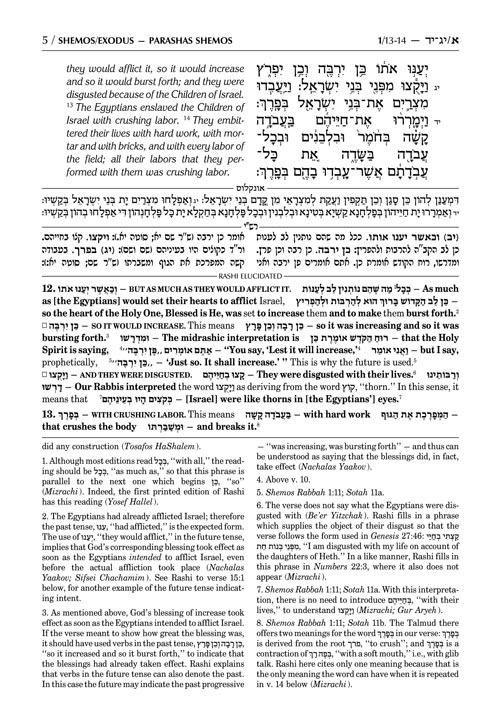 Sapirstein Edition Rashi – 2 – Shemos – Full Size – תמונה 5