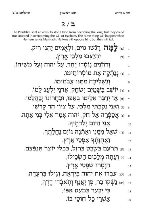 Tehillim – Chinuch Rinas Eliyahu – תמונה 3