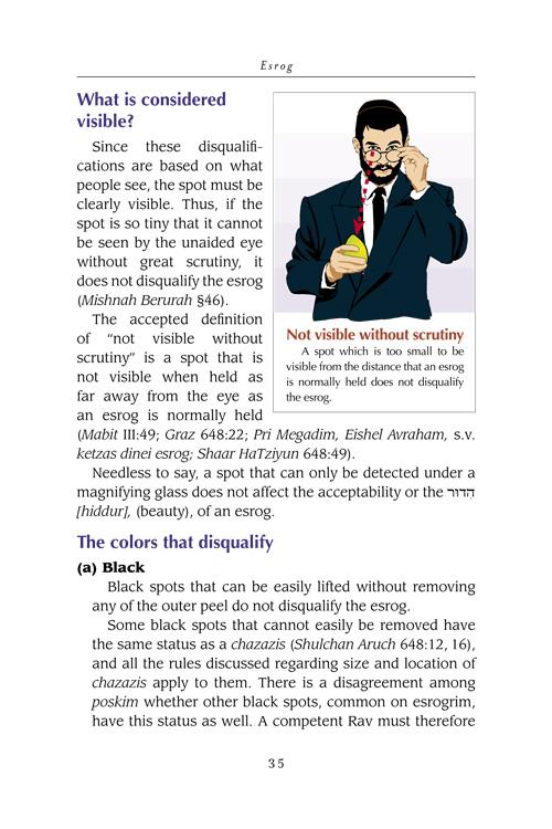 The Lulav and Esrog Handbook – תמונה 3