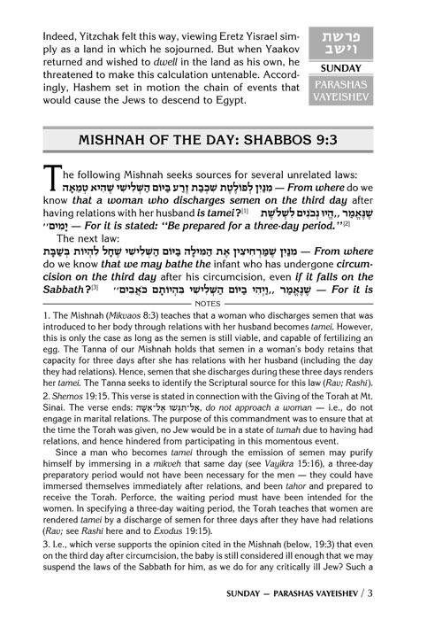 A DAILY DOSE OF TORAH SERIES 1 Vol 03: Weeks of Vayeishev through Vayechi – תמונה 3