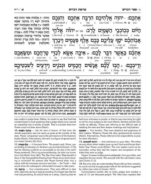 Schottenstein Ed Interlinear Chumash Vol 5: Devarim / Deuteronomy – תמונה 7