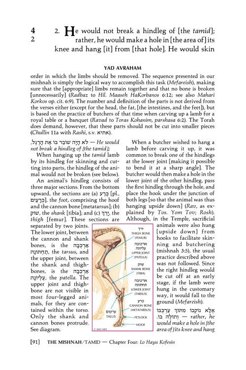 Yad Avraham Mishnah Series:34 Tractates TAMID/MIDDOS/KINNIM (Seder Kodashim) – תמונה 3