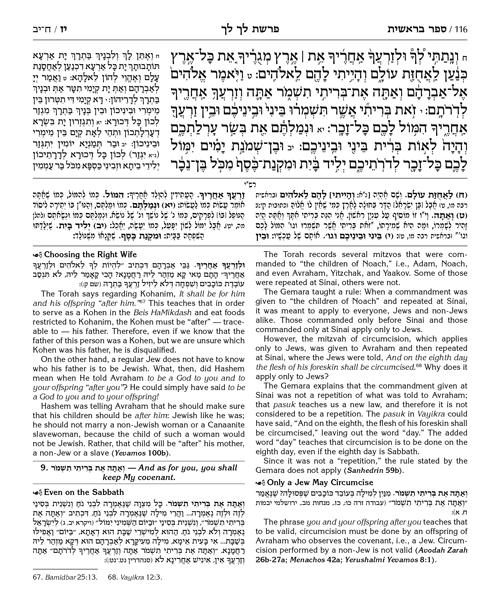 The Milstein Edition Chumash with the Teachings of the Talmud – Slipcased Set – תמונה 9