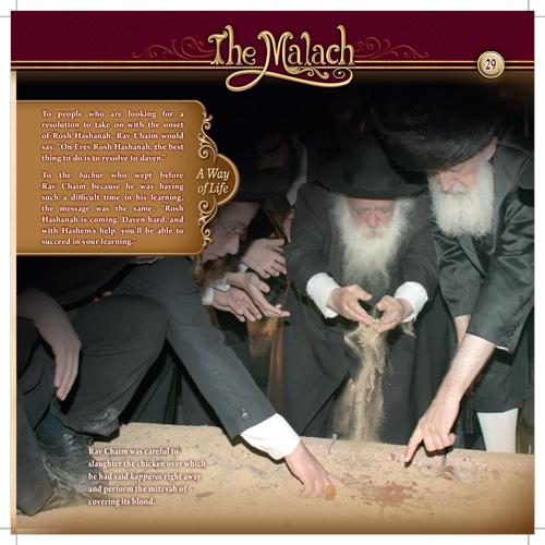 The Malach on 23 Rashbam Street – תמונה 5