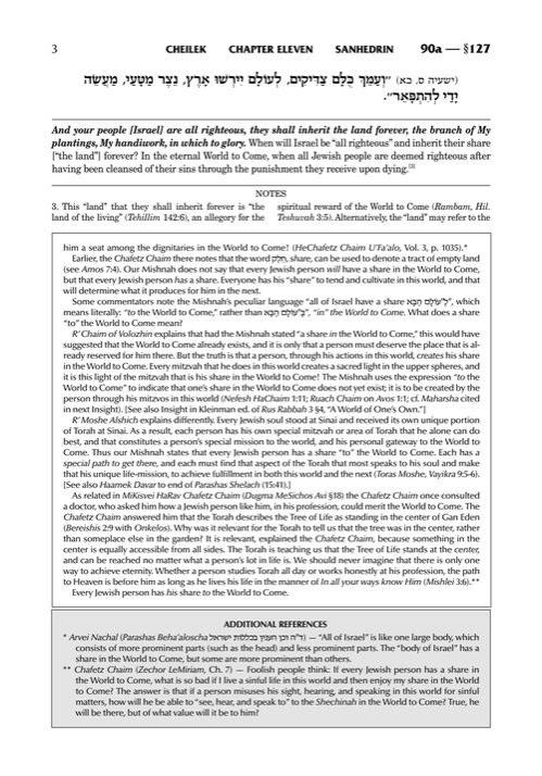 Schottenstein Edition Ein Yaakov: Sanhedrin volume 2 (Folios 90a-113b) – תמונה 3