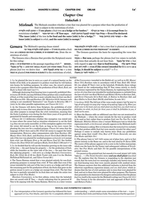 Schottenstein Talmud Yerushalmi – English Edition Daf Yomi Size – Tractate Orlah / Bikkurim – תמונה 2