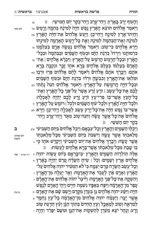 Jaffa Edition Hebrew Only Chazan Size Tanach H/C – תמונה 5