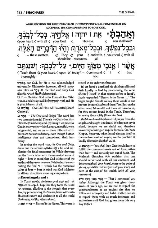 Siddur Interlinear Weekday Full Size – Sefard – Schottenstein Edition – Signature Leather – Royal Brown – תמונה 3
