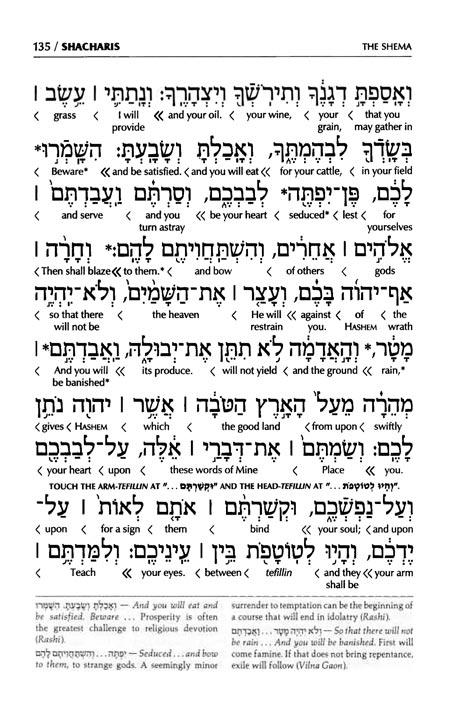 Siddur Interlinear Weekday Full Size – Sefard – Schottenstein Edition – Signature Leather – White – תמונה 5