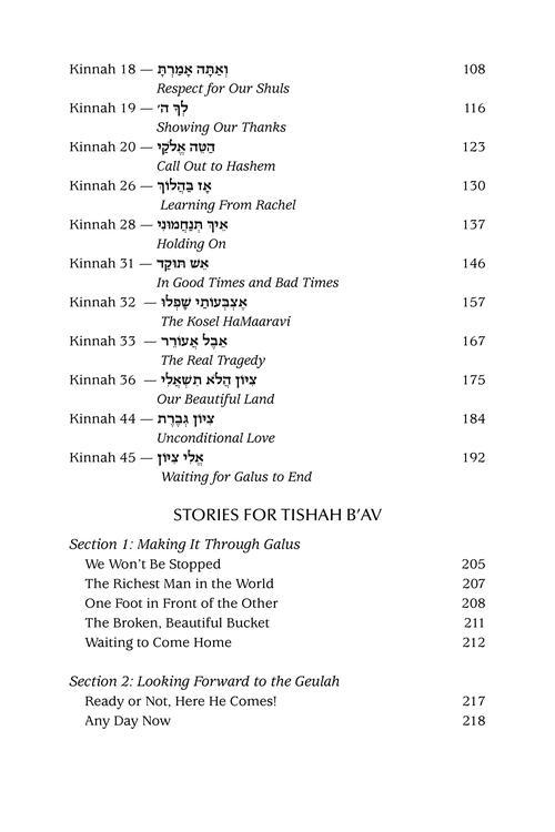 A Most Meaningful Tishah B’Av – תמונה 9