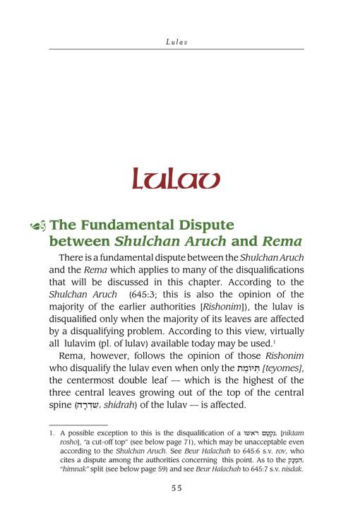 The Lulav and Esrog Handbook – תמונה 6