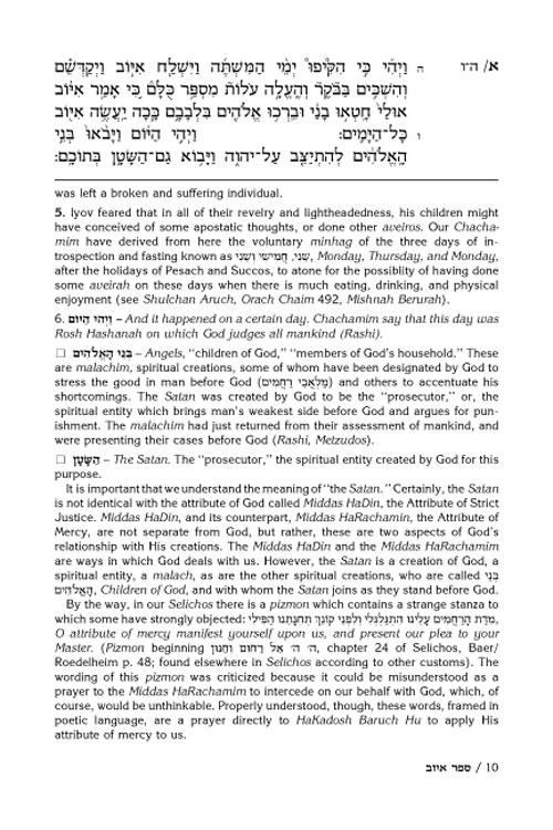 Rav Schwab on Iyov – תמונה 13