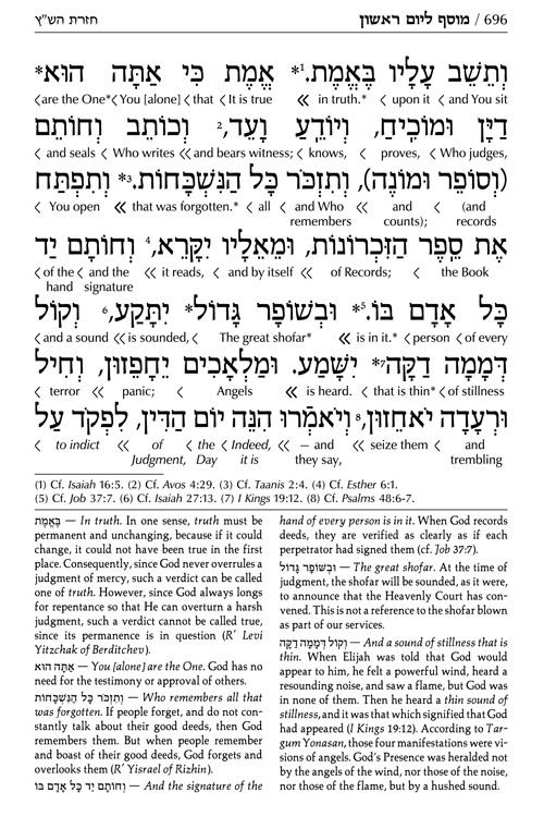 Signature Leather Collection Ashkenaz Schottenstein Interlinear Full-Size 5 Vol Machzor Set Glacier Grey – תמונה 3