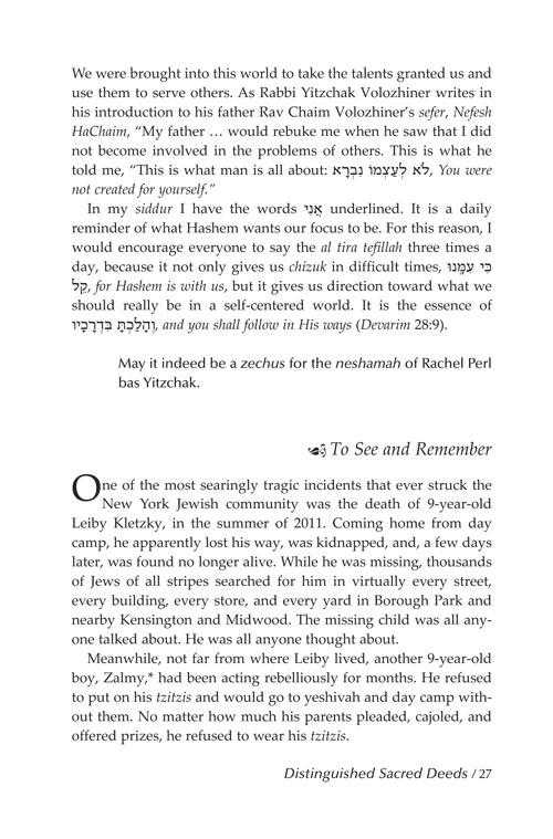 In the Splendor of the Maggid – תמונה 8
