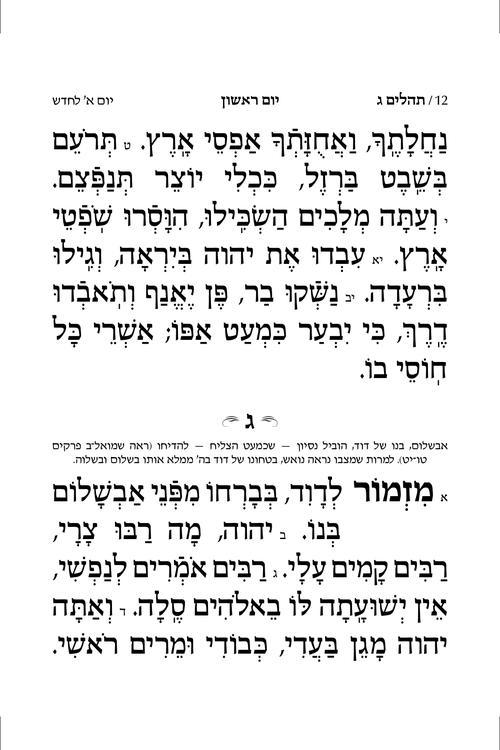 Pocket Size Hebrew Only, Large Type Tehillim with Hebrew Introductions- Hasbani Family Edition – תמונה 4