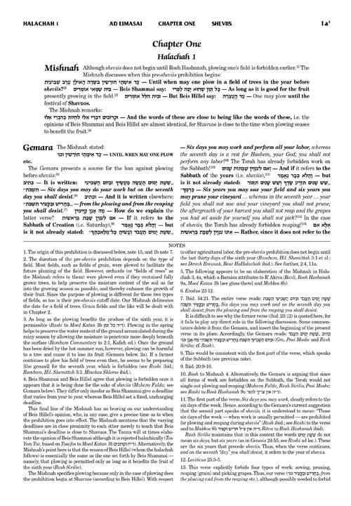 Schottenstein Talmud Yerushalmi – English Edition Daf Yomi Size – Tractate Shviis vol 1 (1a-41b) – תמונה 2