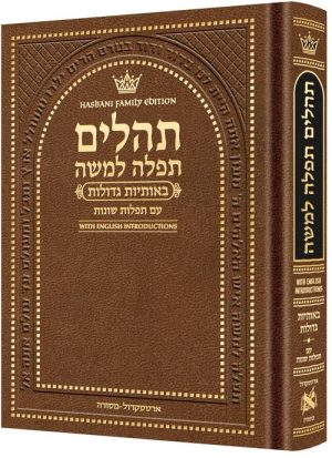 Pocket Size Hebrew Only, Large Type Tehillim with English Introductions- Hasbani Family Edition