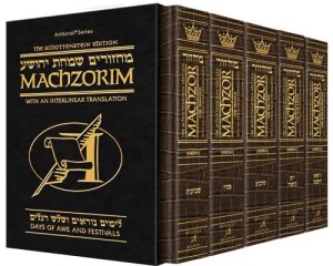 Schottenstein Interlinear Machzor 5 Vol. Set Pocket Size Alligator Leather – Ash