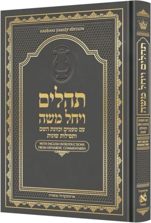 תהילים באותיות גדולות עם טעמים וכוונת השם- אפור