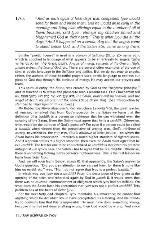 Rav Schwab on Iyov – תמונה 3