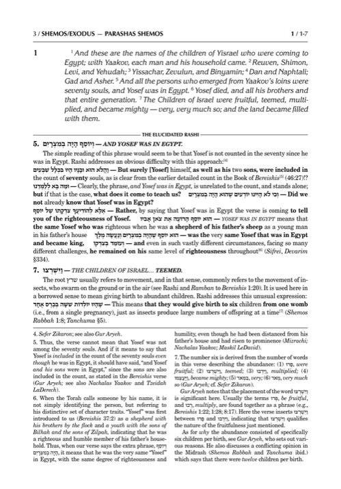 Student Size – Schottenstein Edition The Elucidated Rashi on Chumash – Shemos volume 1: Shemos– Yisro – תמונה 3