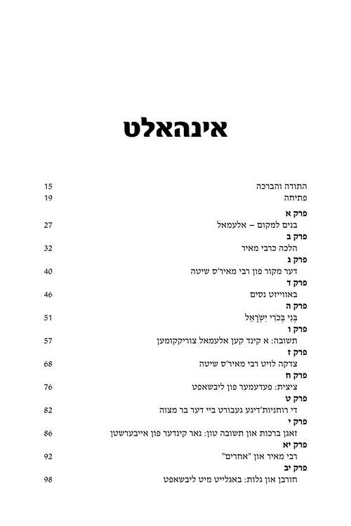 Rebbi Meir Baal Haness – Yiddish Edition – תמונה 5