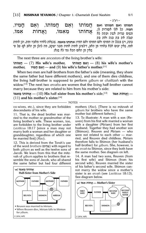 Schottenstein Edition of the Mishnah Elucidated – Seder Nashim 3 Volume Set – תמונה 5