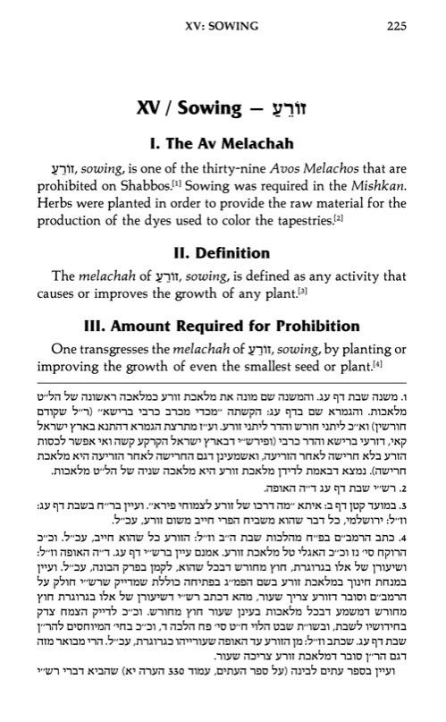 The Shabbos Home Volume 2 – תמונה 2
