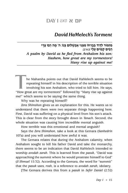 Zera Shimshon on Tehillim: The Sefer. The Stories. The Segulah – תמונה 2