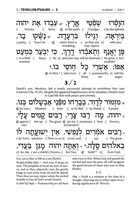 Interlinear Tehillim / Psalms Pocket Size The Schottenstein edition – Signature Leather – Navy – תמונה 5