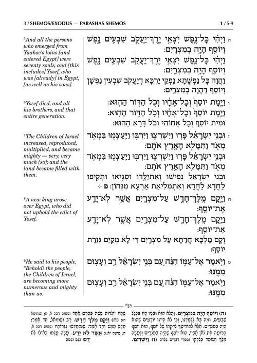 Sh’nayim Mikra V’Echad Targum – Shemos – תמונה 3
