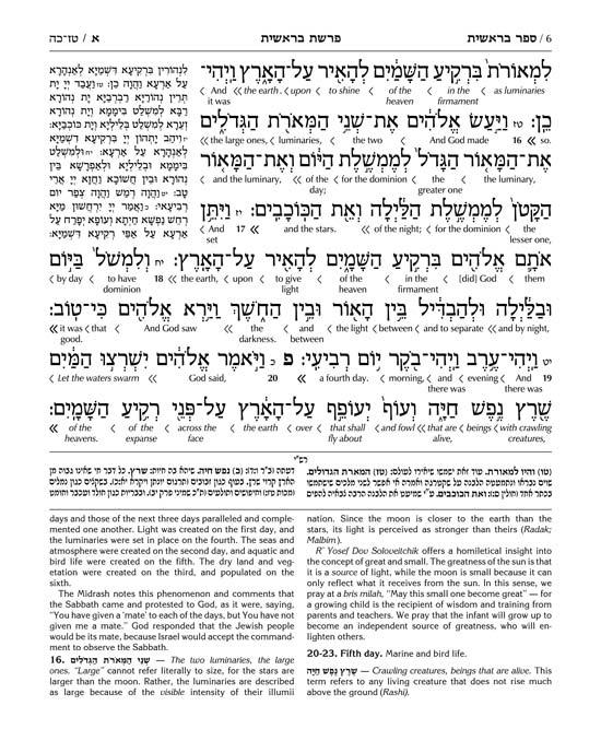 Schottenstein Ed Interlinear Chumash Vol 1: Bereishis / Genesis – תמונה 6