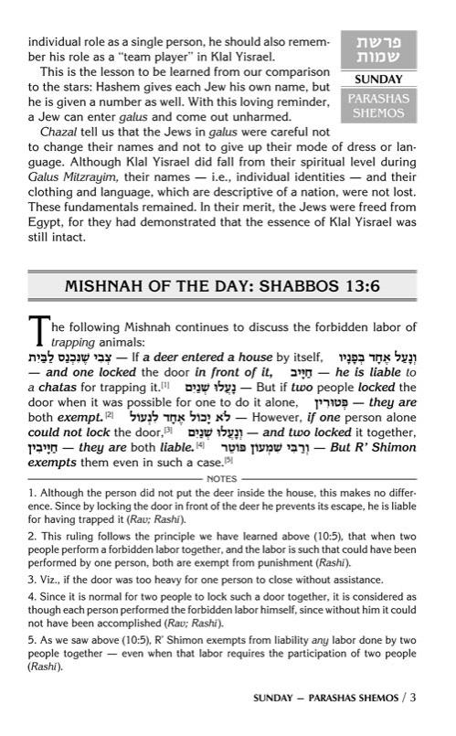 A DAILY DOSE OF TORAH SERIES 1 Vol 04: Weeks of Shemos through Beshalach – תמונה 3