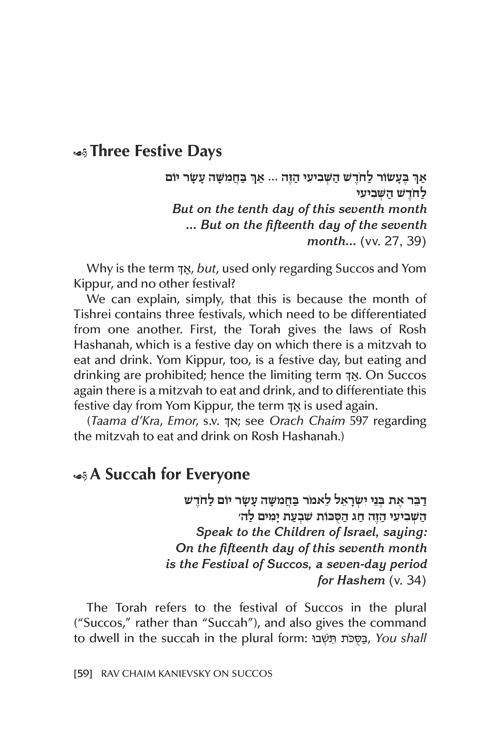 Rav Chaim Kanievsky on Succos – תמונה 5
