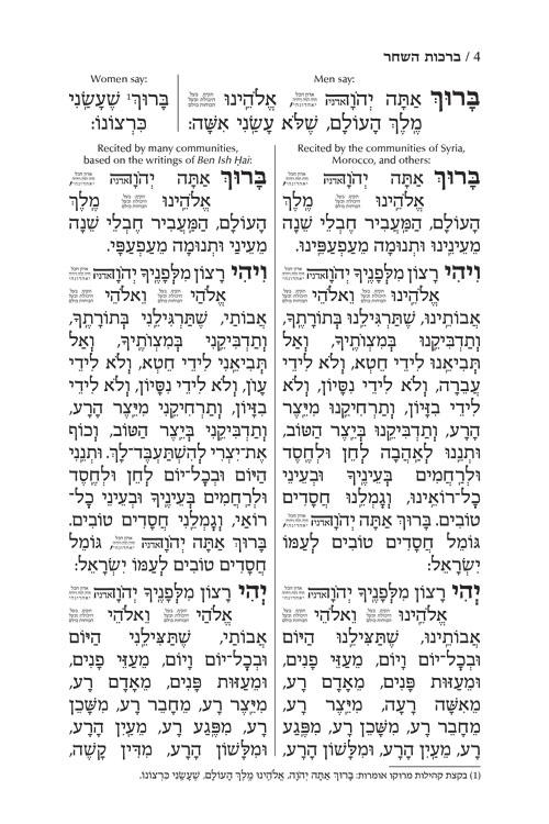 Siddur Tefillah LeDavid: Hebrew-Only: Mid Size – Sephardic/Edot HaMizrach – with English Instructions – תמונה 4