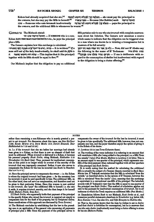 Schottenstein Talmud Yerushalmi – English Edition Daf Yomi Size – Tractate Terumos Vol 2 (55b-107a) – תמונה 7