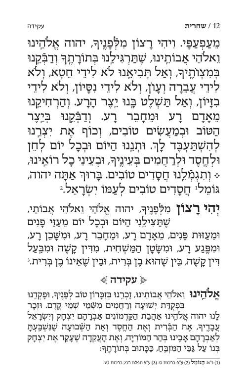Siddur Yitzchak Yair Weekday Only Ashkenaz Large Type Mid Size – Signature Leather – Royal Brown – תמונה 6