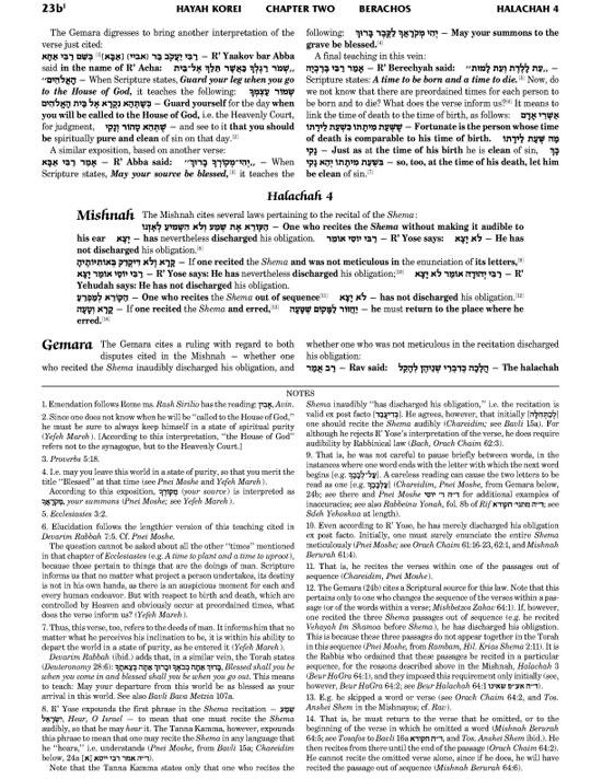 Schottenstein Talmud Yerushalmi – English Edition Daf Yomi Size – Tractate Kilayim – תמונה 5
