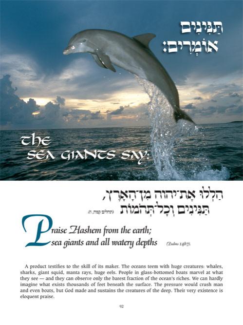 Perek Shirah – The Song of the Universe – Full Size – תמונה 5