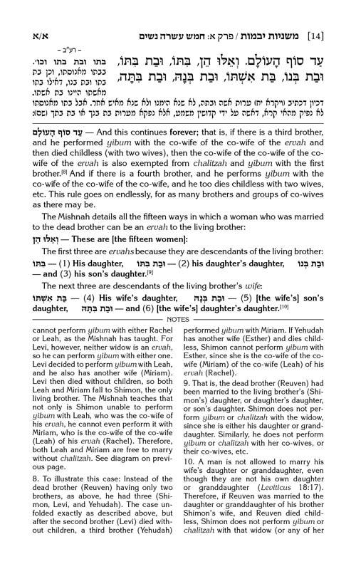 Schottenstein Edition of the Mishnah Elucidated – Seder Kodashim 3 Volume Set – תמונה 4