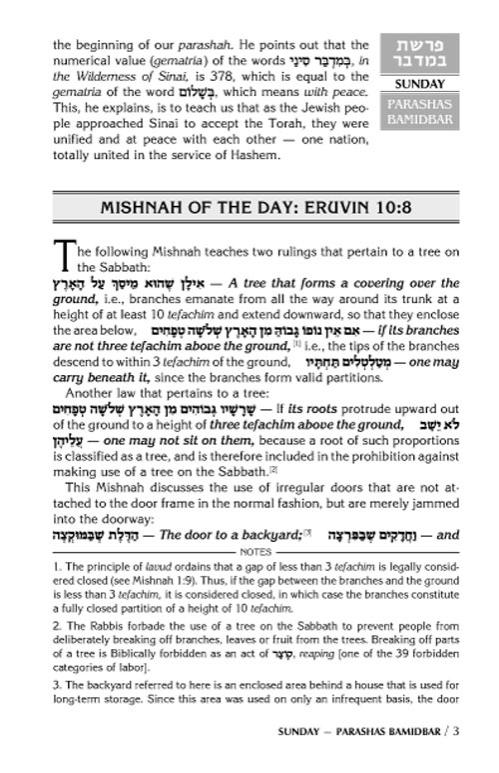 A DAILY DOSE OF TORAH SERIES 1 Vol 09: Weeks of Bamidbar through Shelach – תמונה 3