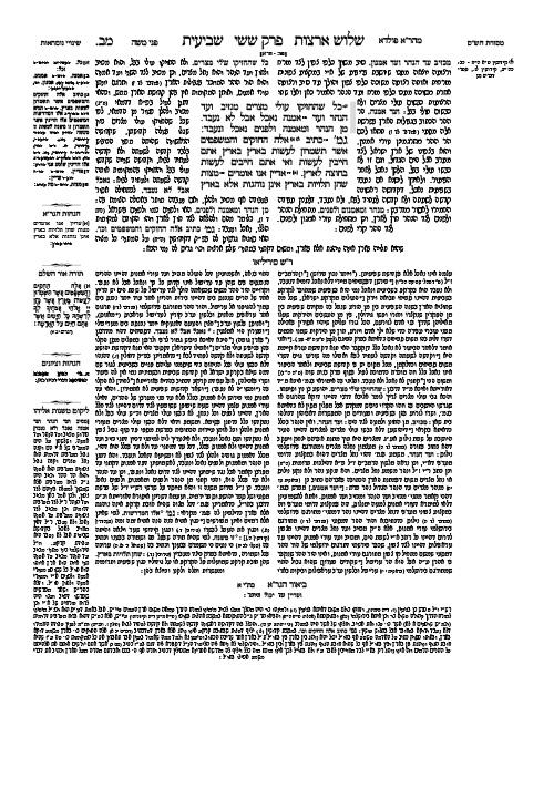 Schottenstein Talmud Yerushalmi – English Edition Daf Yomi Size – Tractate Shviis vol 2 (41b-87b) – תמונה 5
