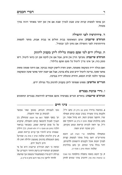 Shailos uTeshuvos Divrei Chachomim **HEBREW** – תמונה 3