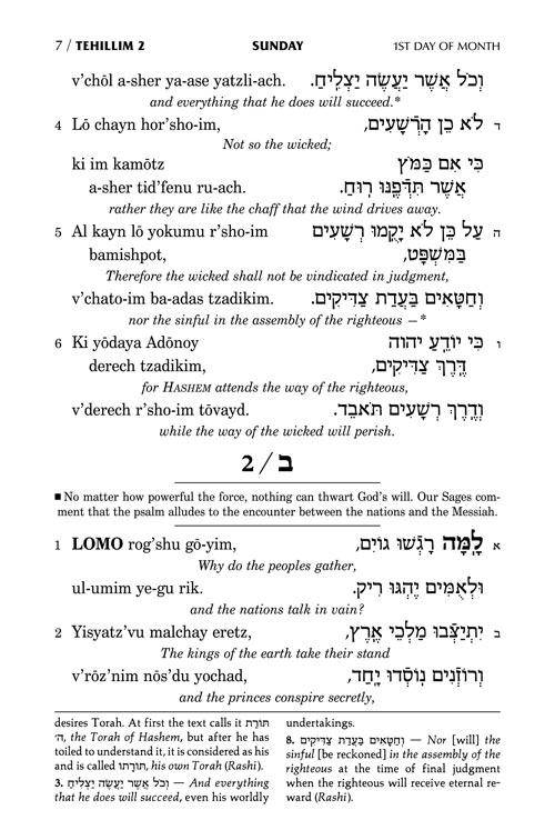 Tehillim: Transliterated Linear – Seif Edition, Pocket Size H/C – תמונה 3