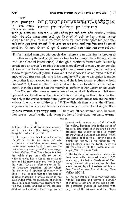 Schottenstein Edition of the Mishnah Elucidated – Seder Kodashim 3 Volume Set – תמונה 2