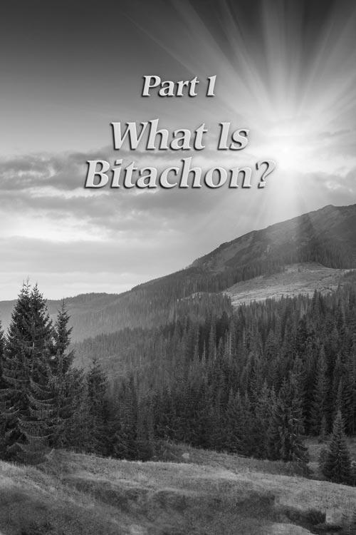 A Life of Bitachon – תמונה 2