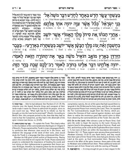 Schottenstein Ed Interlinear Chumash Vol 5: Devarim / Deuteronomy – תמונה 5