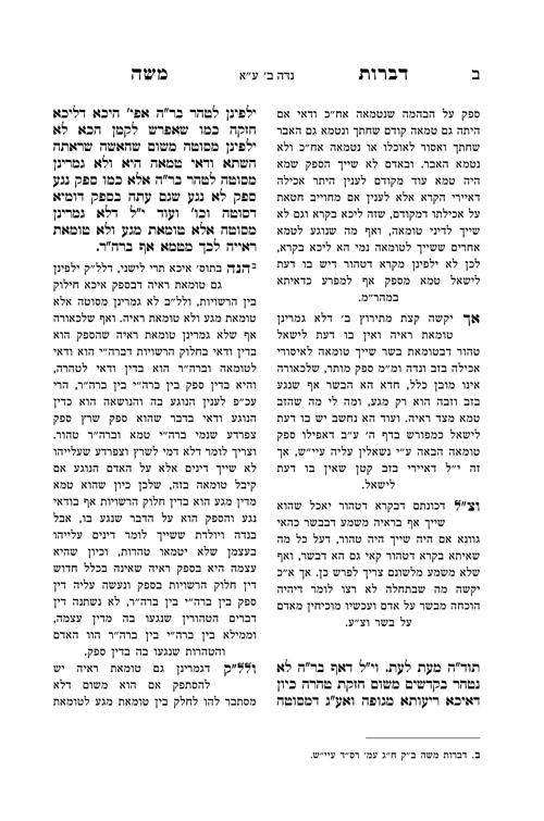 דברות משה נידה – תמונה 3