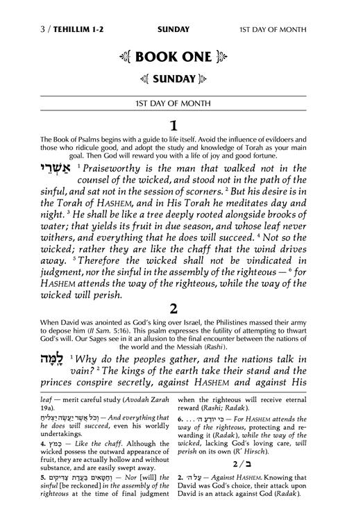 Signature Leather Collection Full-Size Hebrew/English Tehillim Blue Lagoon – תמונה 3